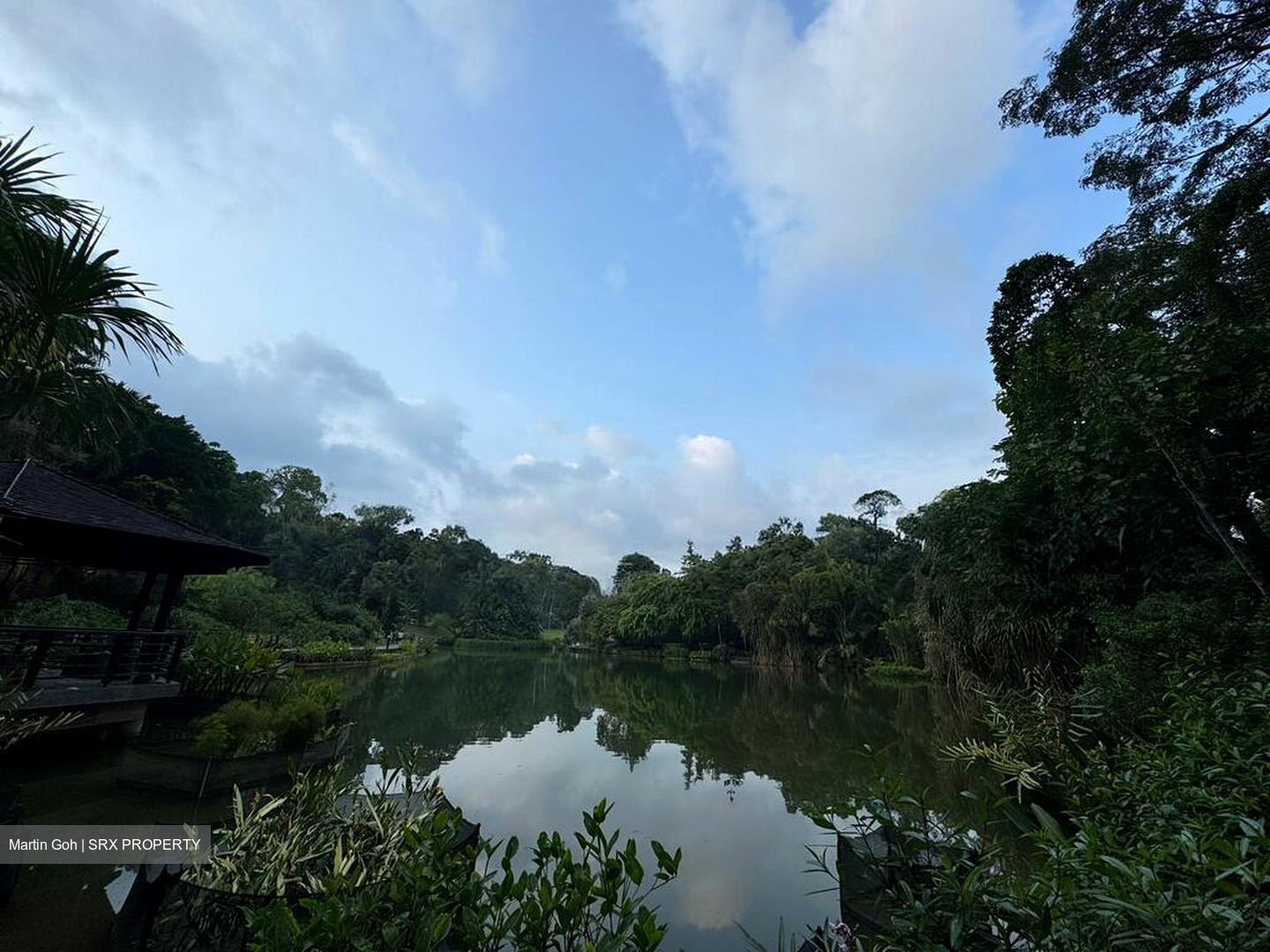 College Green (D11), Detached #499150781